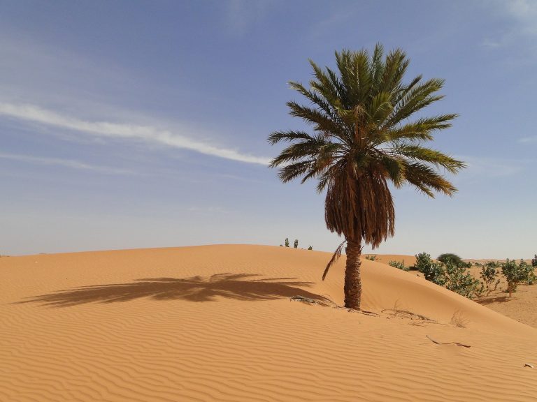 MAURITANIA Unveiled: Your Ultimate Mauritania Travel Guide