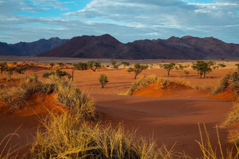 Discovering NAMIBIA: Your Comprehensive Namibia Travel Guide